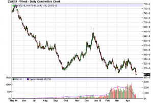 wheat15may