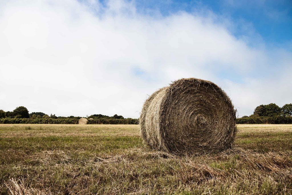 haystack