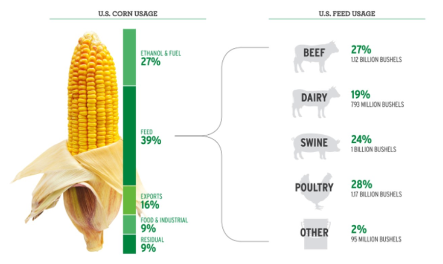 Corn Feed Usage