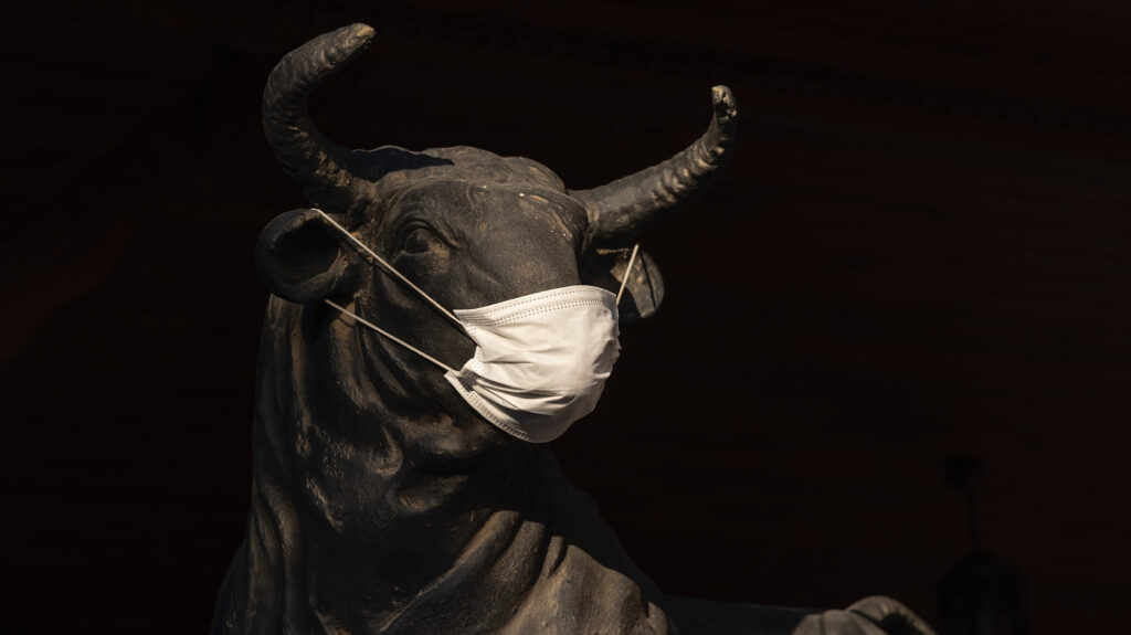 Bull wearing mask